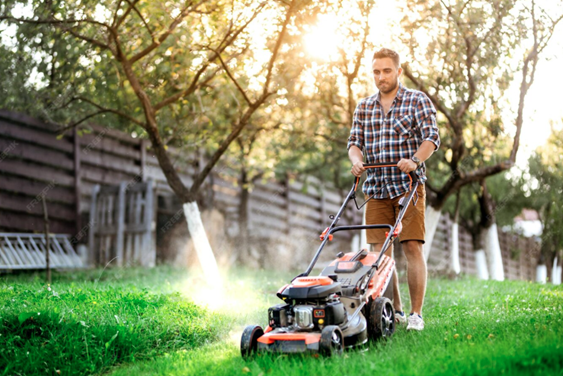 Lawn Care Harrison NY