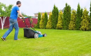 Lawn Care Scarsdale NY