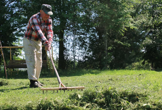 Lawn Care White Plains NY