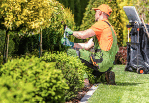 Lawn Maintenance Larchmont