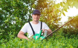 Lawn Maintenance Larchmont