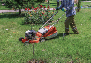 Lawn Mowing Larchmont