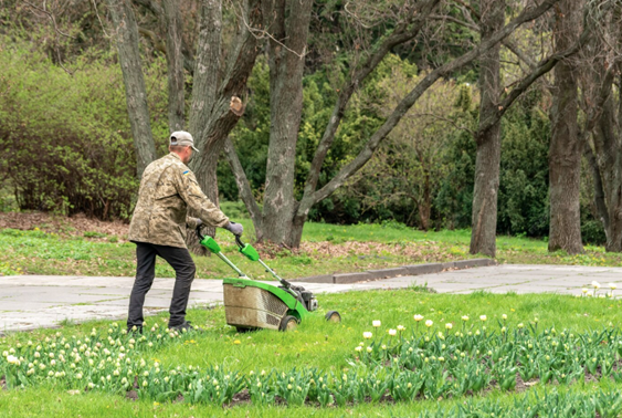 Lawn Mowing Larchmont