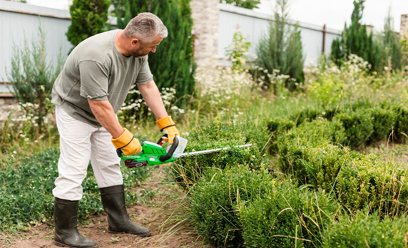 Lawn Mowing Larchmont