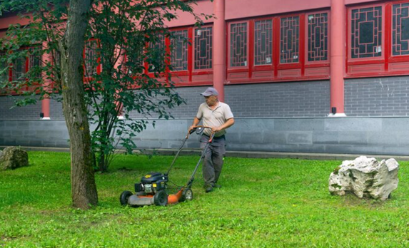 Lawn Service Armonk NY