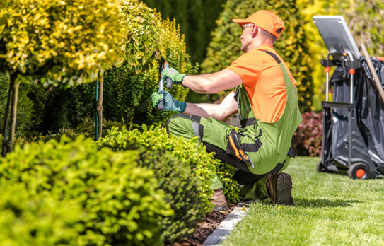 Lawn Service Armonk NY