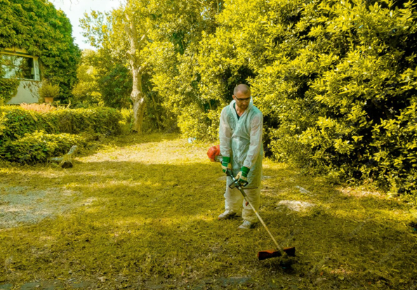 Organic Lawn Care Scarsdale