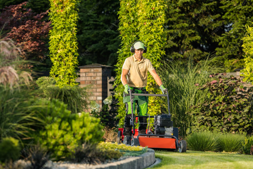 Organic Lawn Care Scarsdale