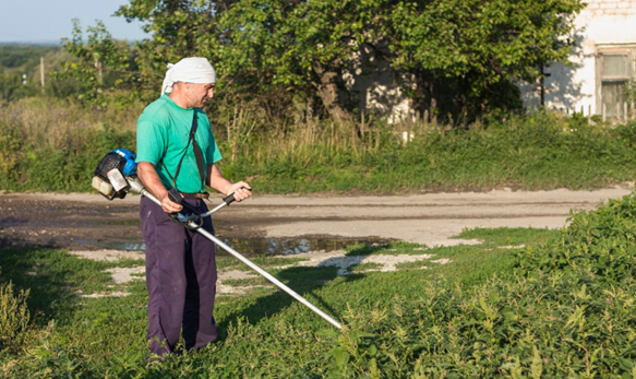 Tick Spraying Scarsdale