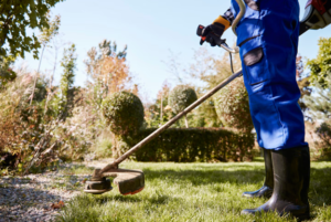 Lawn Care Bronxville