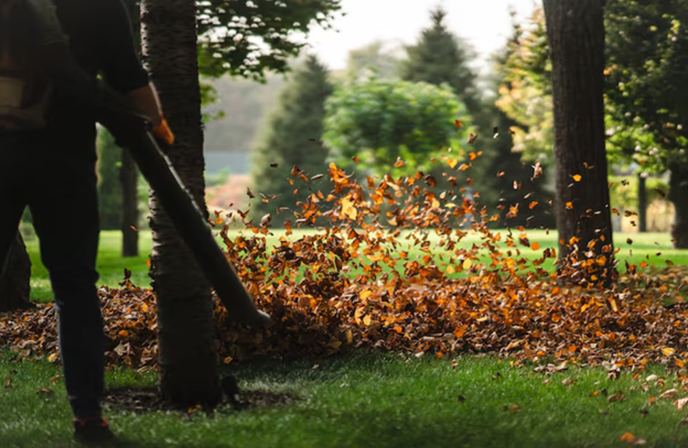 Lawn Care Harrison NY