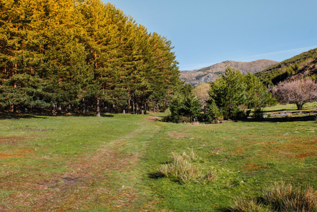 Lawn Care White Plains NY