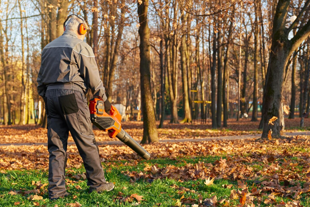 Lawn Mowing Larchmont