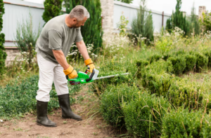 Organic Lawn Care Scarsdale